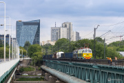 Dwa byki i most