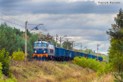 Wiadrowiec i kształt