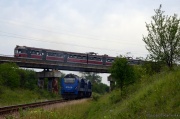 Niecodzienne spotkanie