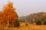 Autumn regional train.