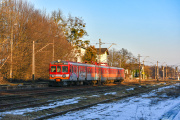 Zez w Borowej