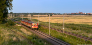 Bluszcz = Odrodzenie