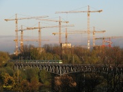 Pociąg do lasu dźwigów