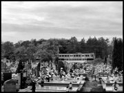 Dla nas czas wciąż płynie