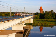Złota dziewiątka