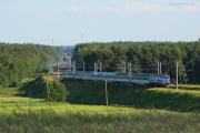 Wśród lasów