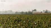 31WE-004