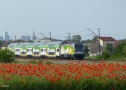 Gama z Sundeckami do Skarżyska