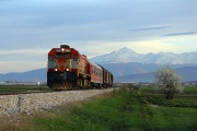 2620 005