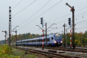 Kształtowa Włoszczowa