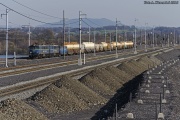 Na szkodach górniczych II