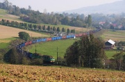 Polna