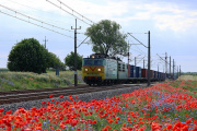 ET42-029 w makach pod Górzycą