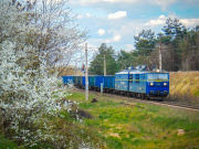 Wiosna kolorami CCD
