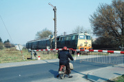 Orzeszek z fiatem