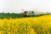SU45-116