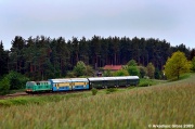 SU45-154 z oliwkową 'bipą'