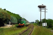 SU45-241