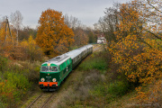 Fiat w drodze po rozwój