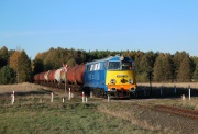 Ozdobniona 301Db-143