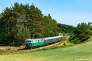 SU46-029 Kwiatki