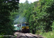 SU46-041+039