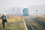 SP42-029