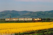 SU42-540