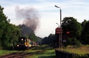 SU42-524