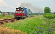 SU42-536
