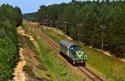 SP42-200