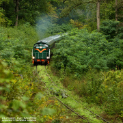 "Niczym lasy deszczowe Amazonii"