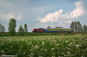 SU42-525