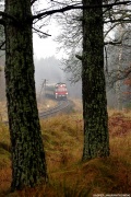 SU42-534