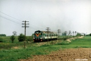 SP42-178
