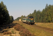 SP42-242