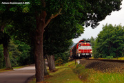 SU42-533