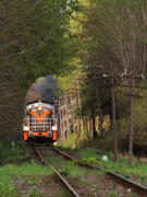 Wyjeżdżona skrajnia