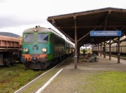 ST43-317 w Ścinawce Średniej