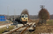 Wierzbno