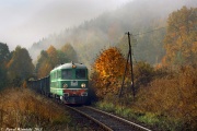 ST43-189