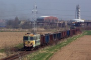 ST43-239