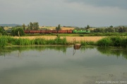 Dobrzechowskie stawy.