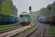 Poruszenie w Zwierzyńcu