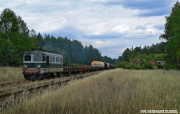 ST43-195