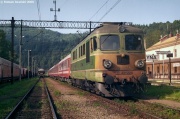 " Rumun " w Muszynie