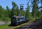 Gigant