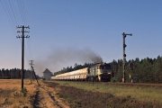 ST44-1113