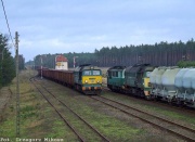 Krzyżowanie w Bąku (!!)