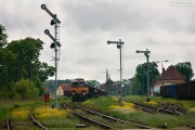 Rail Polska w Biskupcu
